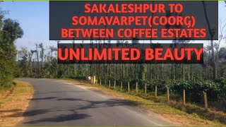 INSIDE SAKLESHPUR AND COORG VILLAGES | BEAUTIFUL JOURNEY BETWEEN COFFEE ESTATES