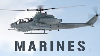 US and European Marines Strengthen Transatlantic Security