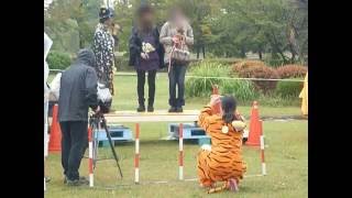 2012年ハロウィン・・・もぐ