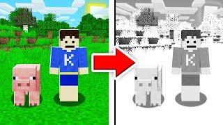 【マインクラフト】色が全くない世界でダイヤを見つけることはできるのか！？ｗｗｗ【マイクラ実況】