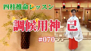 《四柱推命プロ講座#070》調候用神 己