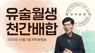 유술월령 천간배합 질의문답