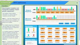 Bio Mutations Virtual Lab.avi