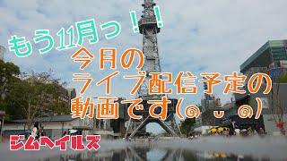 [動画]ライブ配信すけじゅーる(^O^) 2020年11月号