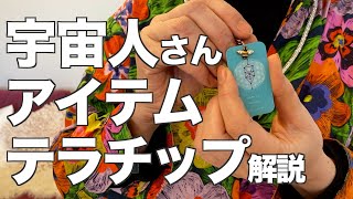 【宇宙人さんアイテム】赤ちゃんの周波数を全身にまとえる！テラチップってなに？【解説：田口ママ】【369発明研究所】