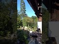 退蔵院　紅葉　妙心寺　京都