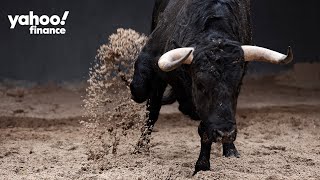 It’s the ‘year of the bull’ in stocks, bonds, and gold: Market Strategist
