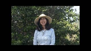 Native Hawaiian Plant Friends with Jill Wagner - Alahe'e