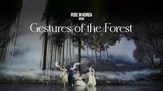 Fuse in Korea | ep.04 - Gestures of the Forest