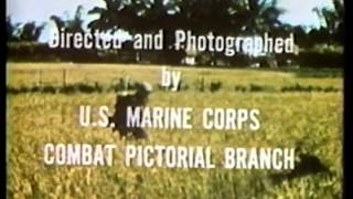 MARINES vs. VIET CONG in VIETNAM AMBUSH - War Documentary Film (Contact)