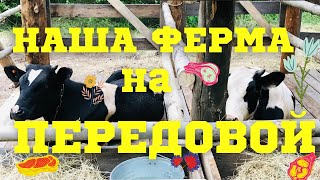 НАША ФЕРМА на ПЕРЕДОВОЙ