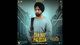 Ser Nai Palosda (from the Movie 'Aaja Mexico Challiye') Ft. Ammy Virk | New Punjabi Song 2024