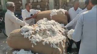 September 23, 2024 AP TS all cotton market prices ఖమ్మం మార్కెట్ పత్తి ధరలు #warngal #adoni