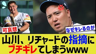 山川穂高、リチャードの些細な指摘に癇癪を起こしていた……【なんｊ反応】