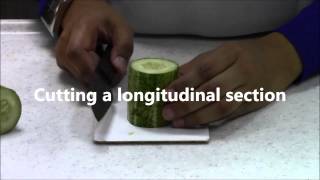 BIOLOGY: 01 - Cutting transverse and longitudinal sections