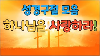 [매일말씀] 성경 구절 모음 * 하나님을 사랑하라! (낭송)