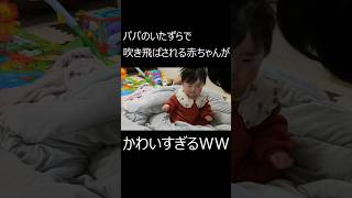 【生後6ヵ月】パパのいたずらで吹き飛ばされる赤ちゃんww