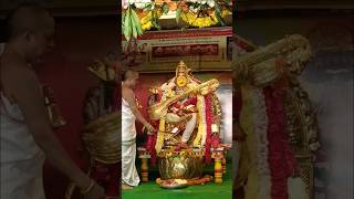 Today Vijayawada kanaka durgamma as saraswathi devi | Vasantha panchami