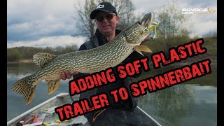 Adding soft plastic trailer to spinnerbaits (Da Bush spinnerbait)