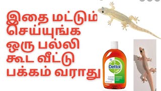 100% பல்லி உங்க வீட்டு பக்கமே வராமல் இருக்க சூப்பரான டிப்ஸ் // Lizard control tips in Tamil