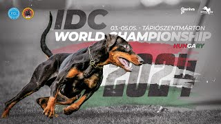 IDC World Championship 2024 / Pavel Tamáši / Cape Secure Hector / workingdog