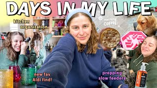 DAILY VLOG: my new fav Aldi find, prepping the dogs slow feeders, bike rides, & small biz thoughts?