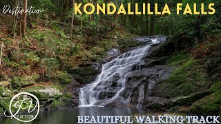 kondalilla Falls