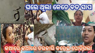 ଦେଖନ୍ତୁ କେତେ ବଡ ସାପ ବାହାରିଲା ଘରୁ🐍କଥା ହଉହଉ କରେଇ ପୋଡିଗଲା 🤭