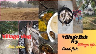 Village Vlog || Pond Fish Fry || Village Life || Desi Style Fish Coocking || Bihari Vlog ||