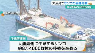 大浦湾でサンゴの移植再開　沖縄防衛局　海水温上昇やサンゴ白化で8月から中断