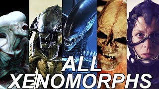ALL Xenomorphs Explained