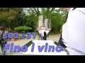 Fino i vino 19.04.2024. S3E31