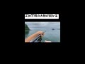 姿だけでも見たかった…＃根魚 魚 釣り 青物 ジギング エギング アジング しゅんときいの釣りtube イカ 釣りガール