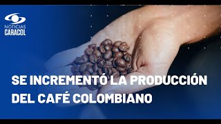 Así está el panorama actual de la producción y consumo de café en Colombia