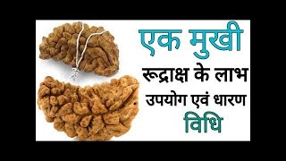 एक मुखी रुद्राक्ष || EK Mukhi Rudraksha Original Test, Benefits \u0026 Significance