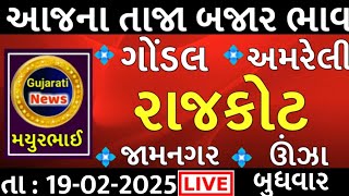 commodity prices 19.02.2025 rajkot marketing yard na bhav|saurashtra ajn bajar bhav|commodity price