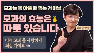 모과는 목 아플 때 먹는 거 아님. 모과의 효능은 따로 있습니다.이제 모과를 사랑하게 되실 거에요.