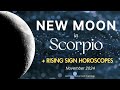 New Moon in Scorpio Nov 2024 - Intense, transformational renewal