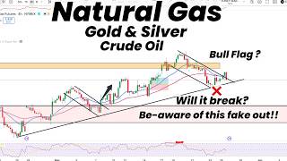 Natural Gas Bull Flag? Beware of This Fakeout! | Gold | Silver | Crude Oil Update
