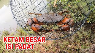 Tangkul Ketam Nipah Spot Padu | Isi Penuh Padat