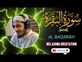 Surah Al Baqarah Beautiful Recitation Relaxing For Your Heart ❤️❤️❤️(Ahmad Al Salabi)#viralvideo