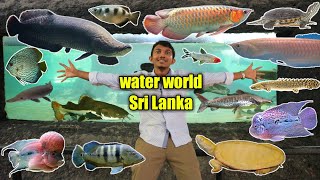 WATER PARK Sri Lanka | Freshwater 🐟