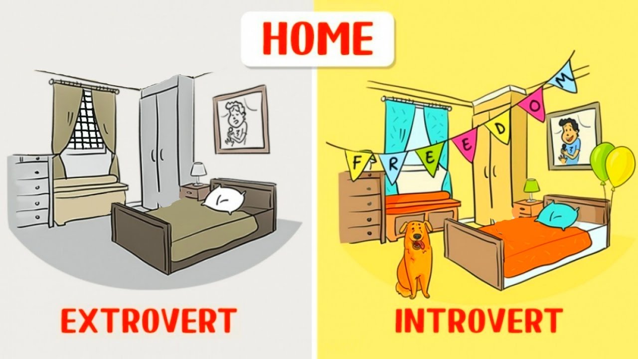 Introverts Vs Extroverts
