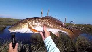 Sunrise Reds \u0026 Snook in the Chassahowitzka National Wildlife Refuge