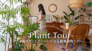 【Plant Tour】観葉植物でインテリアをオシャレにする🪴開放感溢れる南国リゾート風インテリア🌴|インテリアグリーン