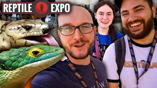 Discovering RARE Reptiles at a HUGE Reptile Expo 2021 | Reptile YouTuber Collab Vlog!