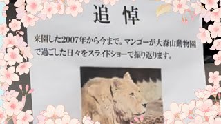 『追悼』2007年からのマンゴーさんの思い出スライドショー（大森山動物園にて上映）