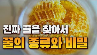 꿀의 비밀: 천연꿀과 사양꿀의 모든 것!