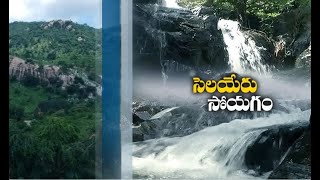 Waterfalls Attracting People | at Ramachandrapuram Forest | in Chittoor Dist