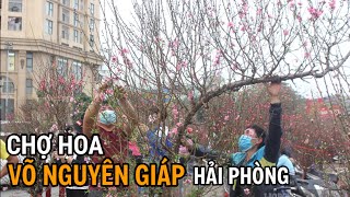 Chợ Đào, Quất Võ Nguyên Giáp, Hải Phòng trước Tết Ất Tỵ 6 ngày (22 Âm Lịch)